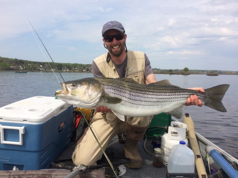 Miramichi River, New Brunswick Canada, Striped Bass Trip (2019