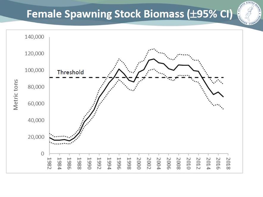 ASMFC ACCEPTS PRELIMINARY STOCK ASSESSMENT Stripers Forever